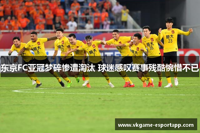 东京FC亚冠梦碎惨遭淘汰 球迷感叹赛事残酷惋惜不已