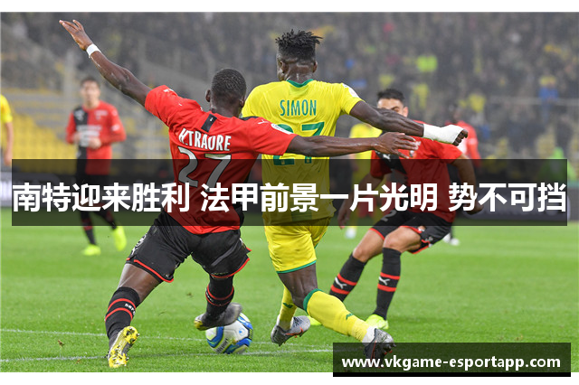 南特迎来胜利 法甲前景一片光明 势不可挡
