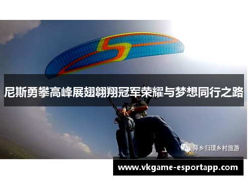 尼斯勇攀高峰展翅翱翔冠军荣耀与梦想同行之路