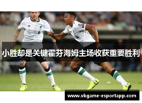 小胜却是关键霍芬海姆主场收获重要胜利