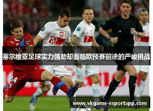 塞尔维亚足球实力强劲却面临欧预赛前途的严峻挑战