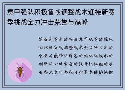 意甲强队积极备战调整战术迎接新赛季挑战全力冲击荣誉与巅峰