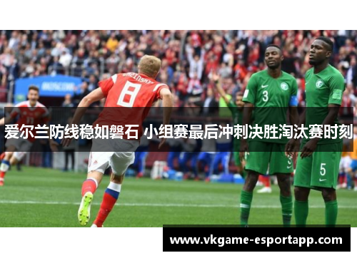 爱尔兰防线稳如磐石 小组赛最后冲刺决胜淘汰赛时刻