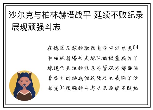 沙尔克与柏林赫塔战平 延续不败纪录 展现顽强斗志