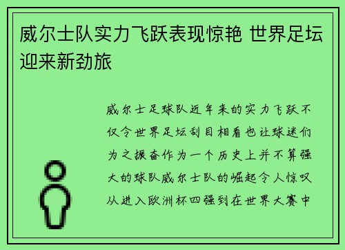 威尔士队实力飞跃表现惊艳 世界足坛迎来新劲旅