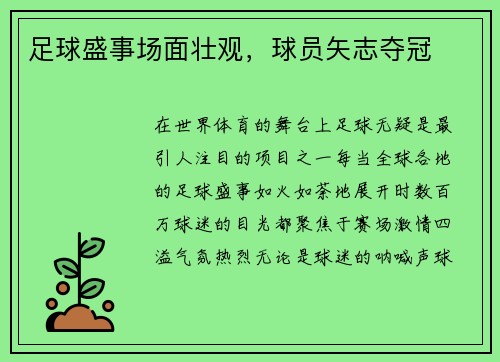 足球盛事场面壮观，球员矢志夺冠